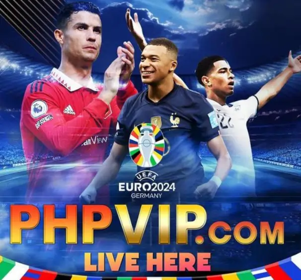 phpvip live